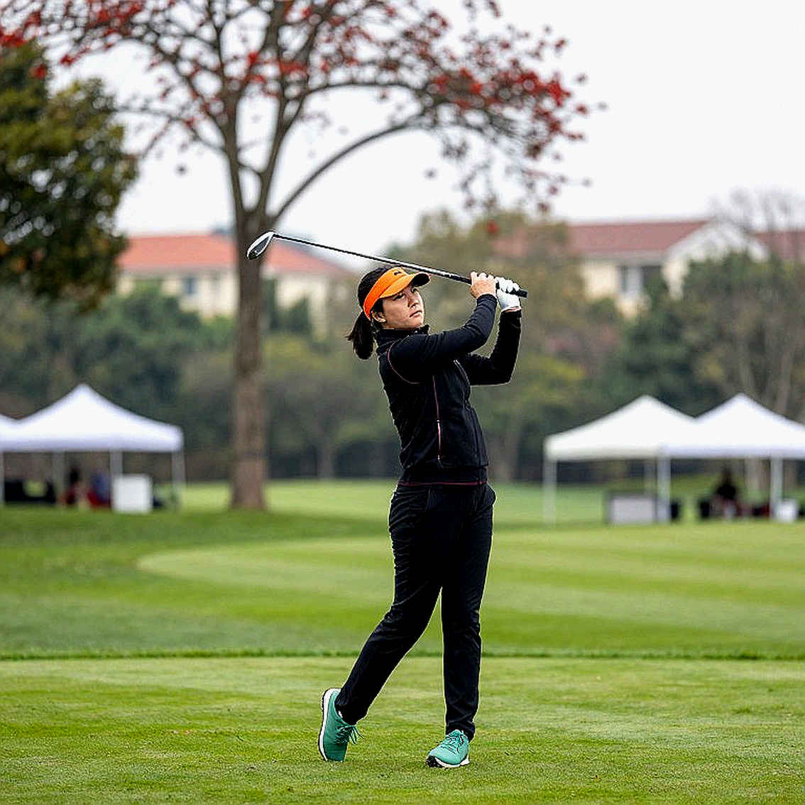 Chiếc túi golf 425 đô la và bài toán dữ liệu về 'sự sang trọng thầm lặng'